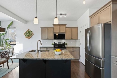 49 Williamstown Green Nw, Airdrie, AB - Indoor Photo Showing Kitchen With Stainless Steel Kitchen With Double Sink With Upgraded Kitchen