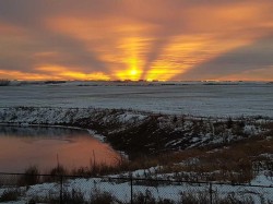 653 West Highland Crescent  Carstairs, AB T0M 0N0