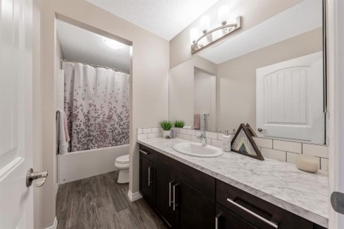 159 Riviera View, Cochrane, AB - Indoor Photo Showing Bathroom