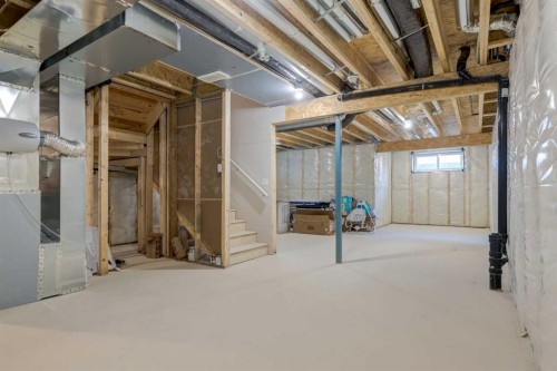 29 Marmot Passage Nw, Calgary, AB - Indoor Photo Showing Basement