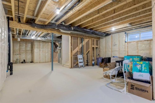 29 Marmot Passage Nw, Calgary, AB - Indoor Photo Showing Basement