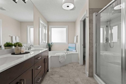 69 Ravenskirk Close Se, Airdrie, AB - Indoor Photo Showing Bathroom