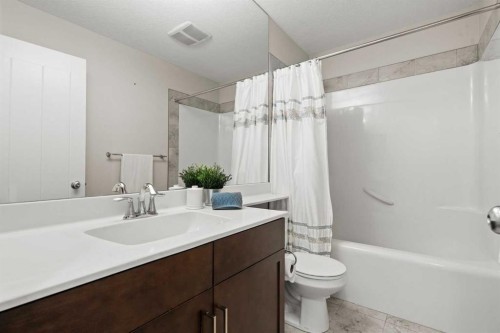 69 Ravenskirk Close Se, Airdrie, AB - Indoor Photo Showing Bathroom