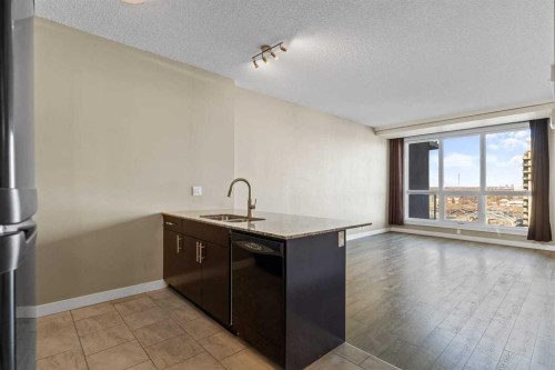 1103-8880 Horton Road Se, Calgary, AB - Indoor Photo Showing Kitchen With Double Sink