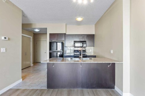 1103-8880 Horton Road Se, Calgary, AB - Indoor Photo Showing Kitchen With Upgraded Kitchen