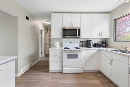 173 Gordon Drive Sw, Calgary, AB - Indoor Photo Showing Kitchen With Double Sink
