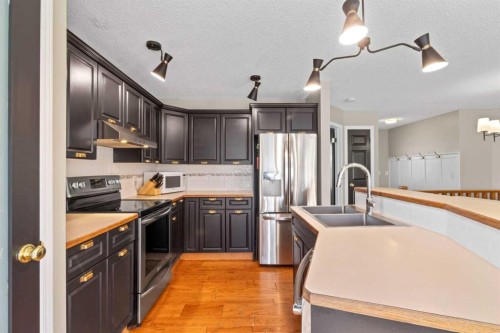 21 Wilson Road Ne, Langdon, AB - Indoor Photo Showing Kitchen With Stainless Steel Kitchen With Double Sink With Upgraded Kitchen