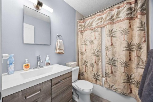 11254 6 Street Sw, Calgary, AB - Indoor Photo Showing Bathroom