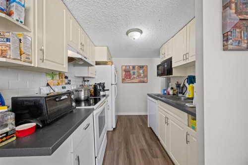 11254 6 Street Sw, Calgary, AB - Indoor Photo Showing Kitchen