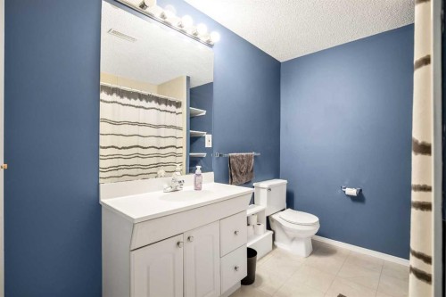 830 Westmount Drive, Strathmore, AB - Indoor Photo Showing Bathroom