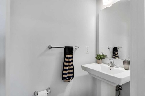 111 Cityside Road Ne, Calgary, AB - Indoor Photo Showing Bathroom