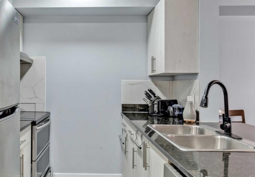 117-7130 80 Avenue Ne, Calgary, AB - Indoor Photo Showing Kitchen With Double Sink