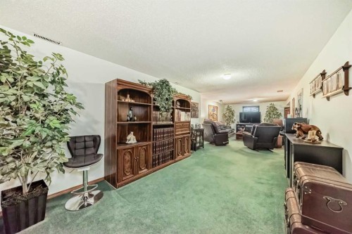 314 Mckinnon Drive, Carseland, AB - Indoor