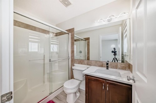 226 Saddlebrook Circle Ne, Calgary, AB - Indoor Photo Showing Bathroom