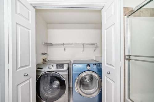 226 Saddlebrook Circle Ne, Calgary, AB - Indoor Photo Showing Laundry Room