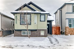 226 Saddlebrook Circle NE Calgary, AB T3J 0K2
