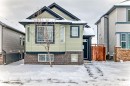 226 Saddlebrook Circle Ne, Calgary, AB  - Outdoor 