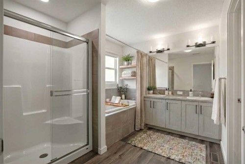 223 Savanna Way Ne, Calgary, AB - Indoor Photo Showing Bathroom