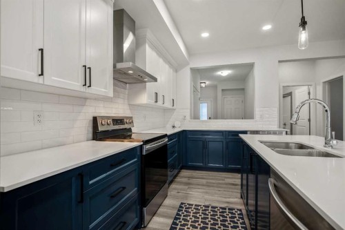 223 Savanna Way Ne, Calgary, AB - Indoor Photo Showing Kitchen With Double Sink With Upgraded Kitchen