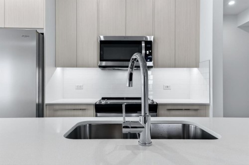 1305-44 Skyview Parkway Ne, Calgary, AB - Indoor Photo Showing Kitchen With Double Sink With Upgraded Kitchen