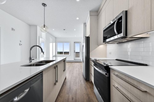1305-44 Skyview Parkway Ne, Calgary, AB - Indoor Photo Showing Kitchen With Double Sink With Upgraded Kitchen