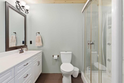 619 Lakeside Drive, Rural Vulcan County, AB - Indoor Photo Showing Bathroom