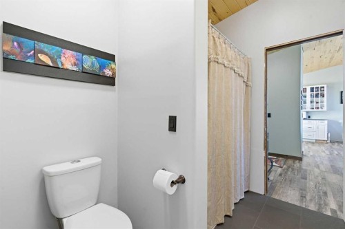 619 Lakeside Drive, Rural Vulcan County, AB - Indoor Photo Showing Bathroom