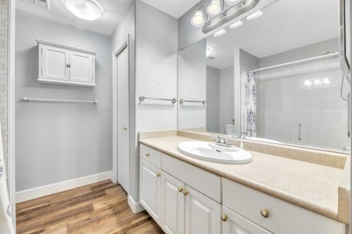 112-43 Westlake Circle, Strathmore, AB - Indoor Photo Showing Bathroom
