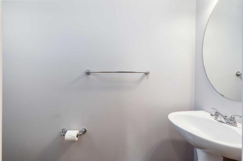 48 Covemeadow Road Ne, Calgary, AB - Indoor Photo Showing Bathroom