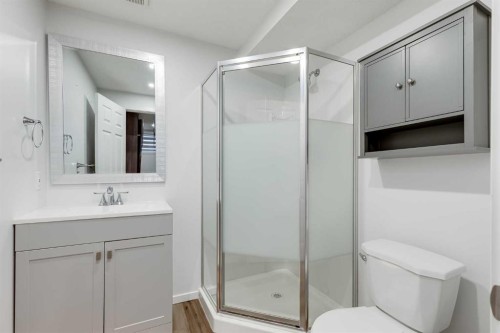 48 Covemeadow Road Ne, Calgary, AB - Indoor Photo Showing Bathroom