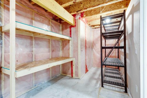 48 Covemeadow Road Ne, Calgary, AB - Indoor Photo Showing Basement