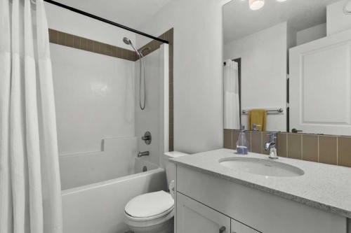 59 Wolf Hollow Way Se, Calgary, AB - Indoor Photo Showing Bathroom