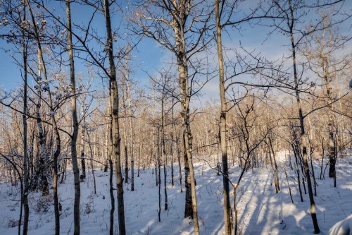 25 Posthill Drive Sw, Calgary, AB 