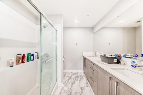 3307-60 Skyview Ranch Road Ne, Calgary, AB - Indoor Photo Showing Bathroom
