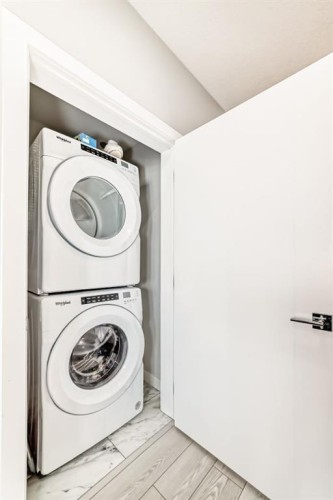 3307-60 Skyview Ranch Road Ne, Calgary, AB - Indoor Photo Showing Laundry Room