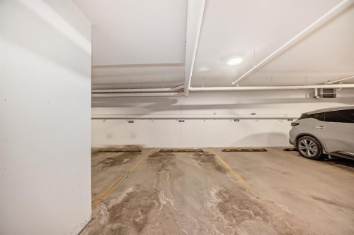 3307-60 Skyview Ranch Road Ne, Calgary, AB - Indoor Photo Showing Garage