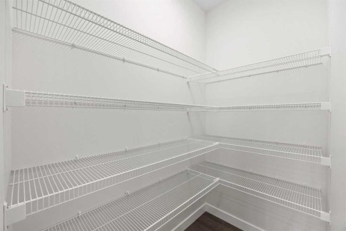 108 Waterford Way, Chestermere, AB - Indoor With Storage