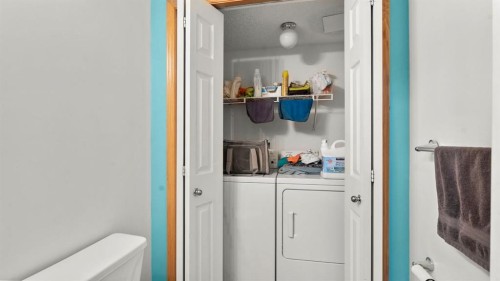 80 Arbour Grove Close Nw, Calgary, AB - Indoor Photo Showing Laundry Room