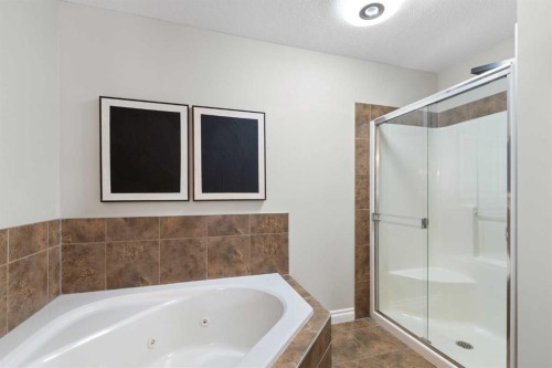 100 Lakeside View, Strathmore, AB - Indoor Photo Showing Bathroom
