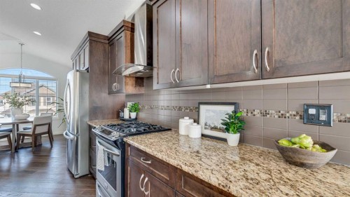 389 Cranberry Circle Se, Calgary, AB - Indoor Photo Showing Kitchen With Upgraded Kitchen