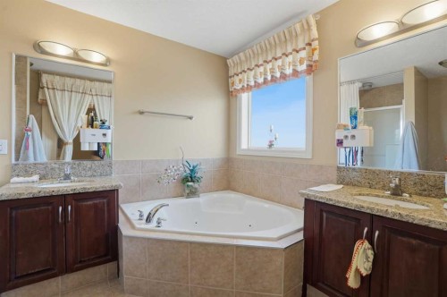 197 West Creek Boulevard, Chestermere, AB - Indoor Photo Showing Bathroom