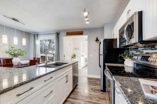 1205 Meadowbrook Drive Se, Airdrie, AB - Indoor Photo Showing Kitchen With Double Sink
