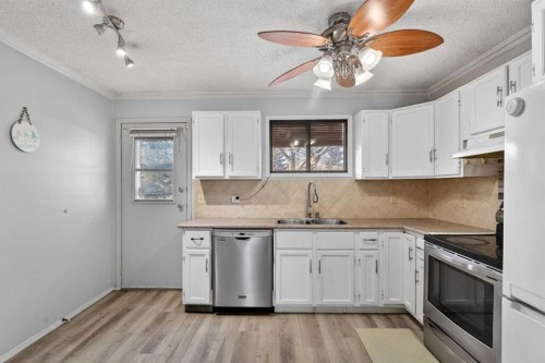 195 Fallswater Road Ne, Calgary, AB - Indoor Photo Showing Kitchen With Double Sink