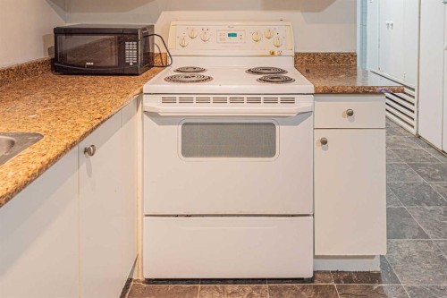 38 Martindale Drive Ne, Calgary, AB - Indoor Photo Showing Kitchen