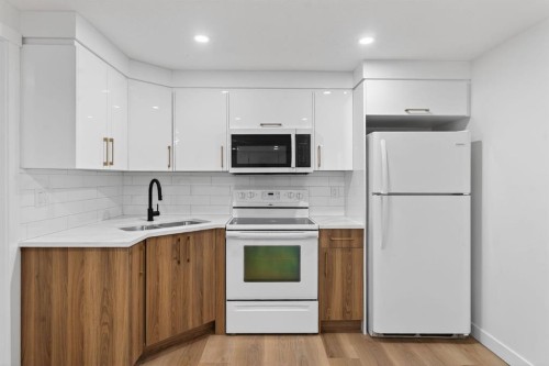 420 Pinegreen Close Ne, Calgary, AB - Indoor Photo Showing Kitchen With Double Sink