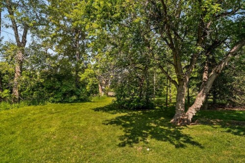 2421 Erlton Street Sw, Calgary, AB - Outdoor