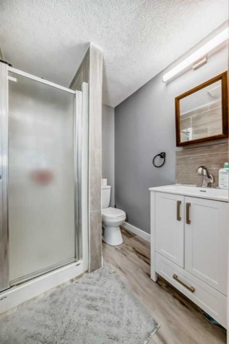 216 Pinecrest Crescent Ne, Calgary, AB 