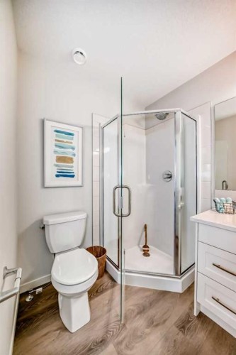 307-474 Seton Circle Se, Calgary, AB - Indoor Photo Showing Bathroom