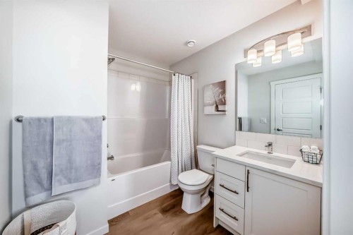 307-474 Seton Circle Se, Calgary, AB - Indoor Photo Showing Bathroom