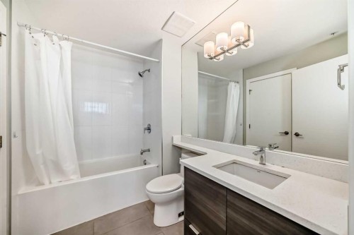 3210-95 Burma Star Road Sw, Calgary, AB - Indoor Photo Showing Bathroom